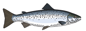Fotolia_122719942_S.png